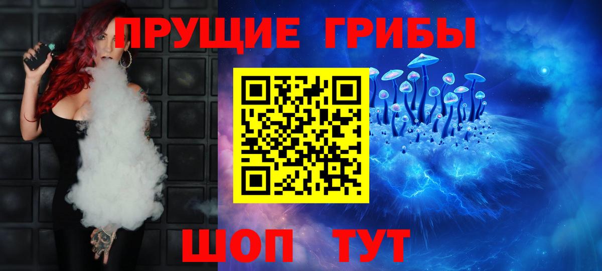 Псилоцибиновые грибы Psilocybe  Вход с VPN  Псилоцибиновые грибы мицелий  Кропоткин 